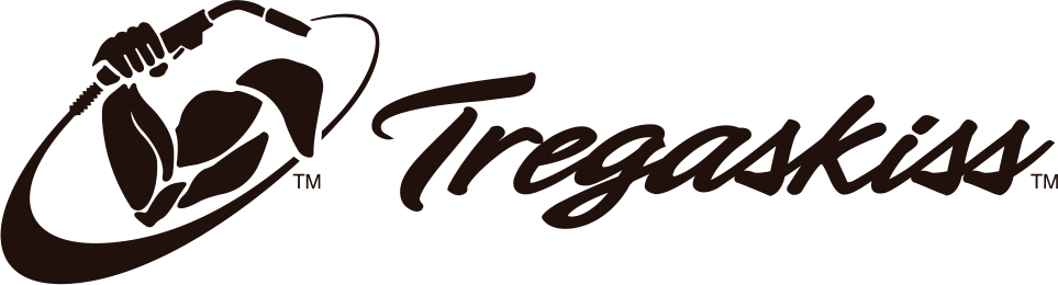 TREGASKIS